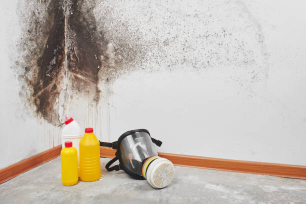 Crawl Space Mold Removal in Crestline, OH
