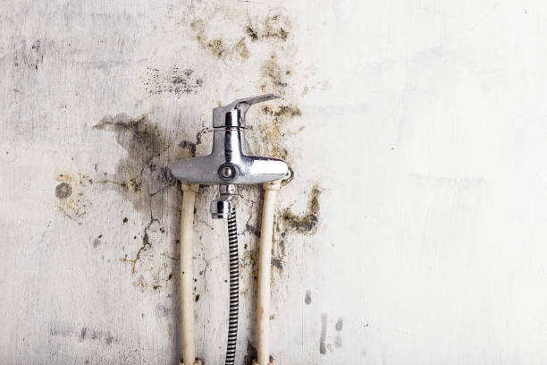 Best Water Damage Restoration  in Crestline, OH