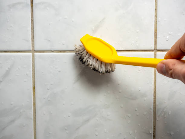 Best Mold Damage Repair  in Crestline, OH