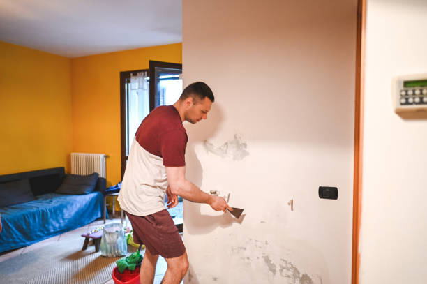 Best Commercial Mold Removal  in Crestline, OH
