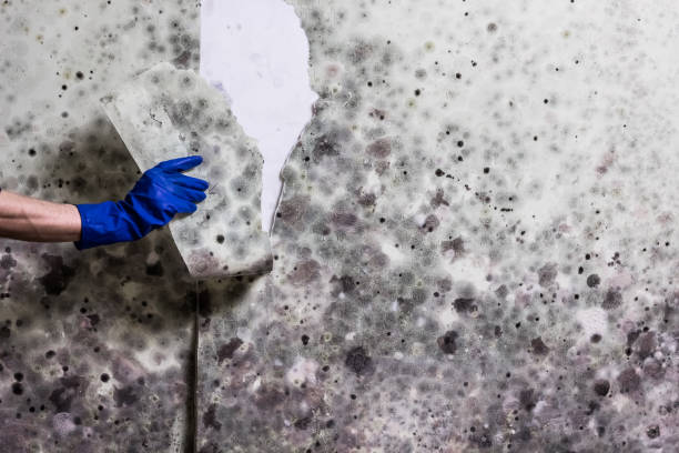 Water Damage Restoration in Crestline, OH